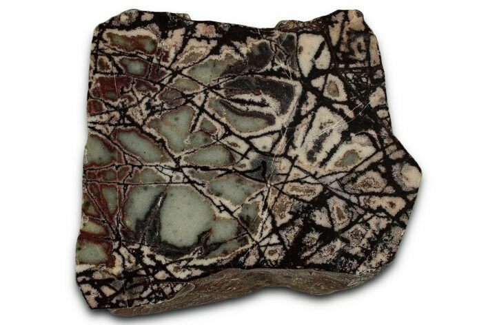 Polished Outback Jasper Section - Western Australia #353273